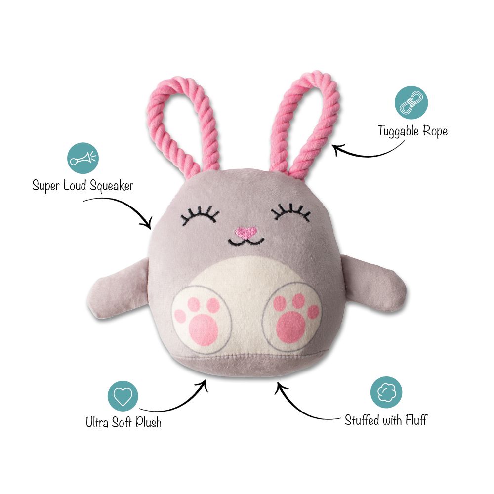 ear-resistible plush rope toy
