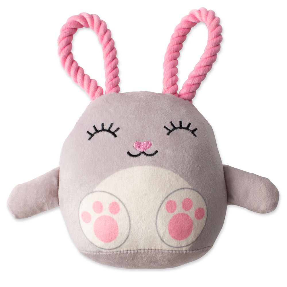 ear-resistible plush rope toy