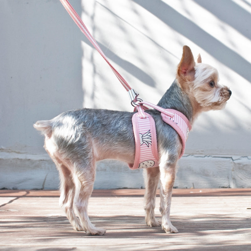 pineapple harness - pink - 1 large left!