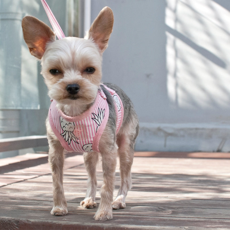 pineapple harness - pink - 1 large left!