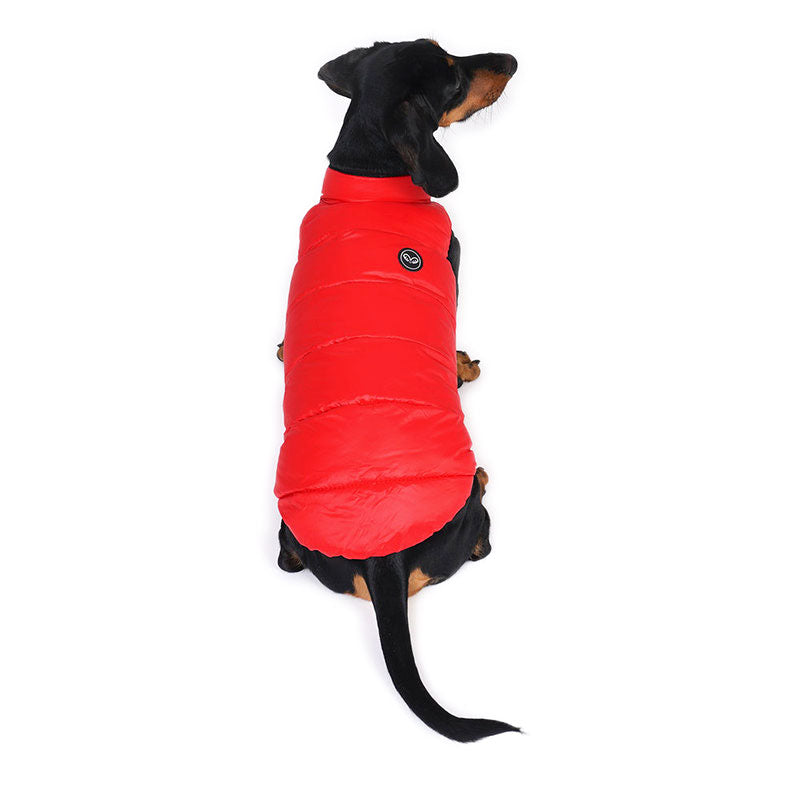 lightweight padding vest for dachshund - red