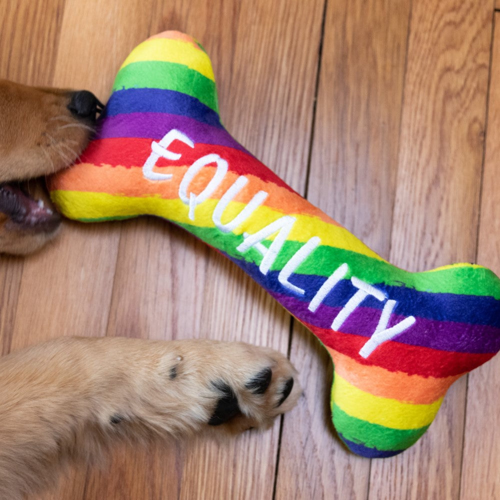 rainbow equality bone toy