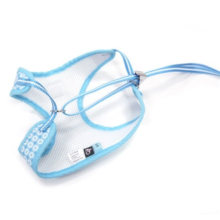 easy go harness and leash set - blue dots