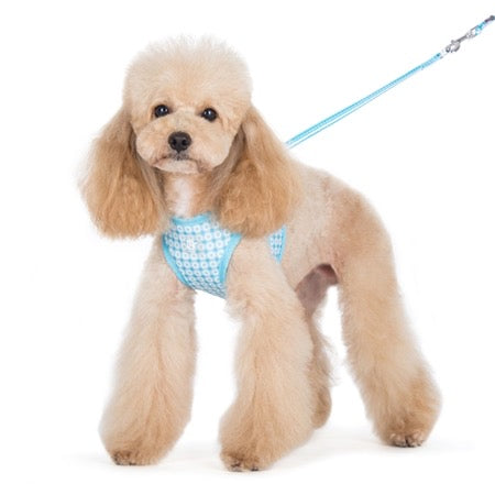 easy go harness and leash set - blue dots