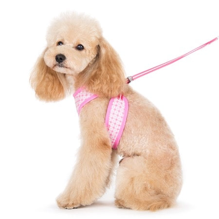 easy go harness and leash set - pink dots
