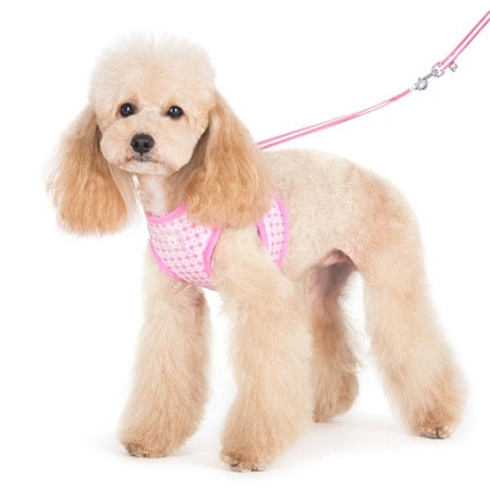 easy go harness and leash set - pink dots