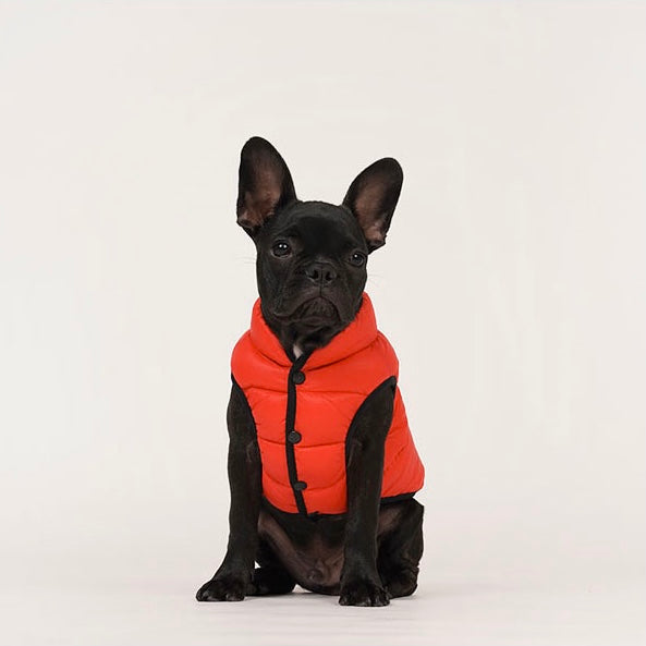lightweight padding vest for frenchies - red