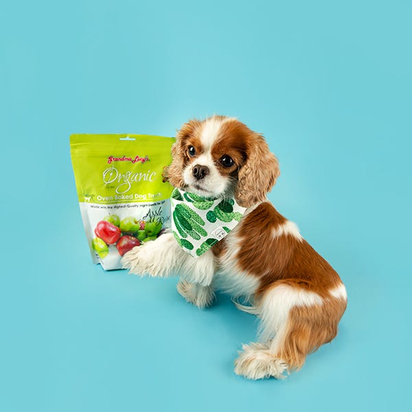 grandma lucy's organic-baked apple treats