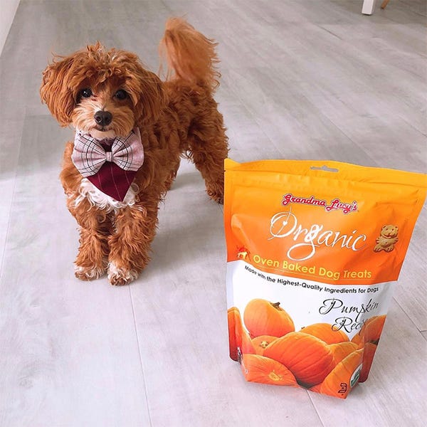 grandma lucy's organic-baked pumpkin treats