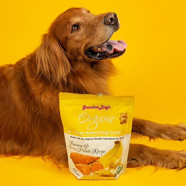 grandma lucy's organic-baked banana sweet potato treats