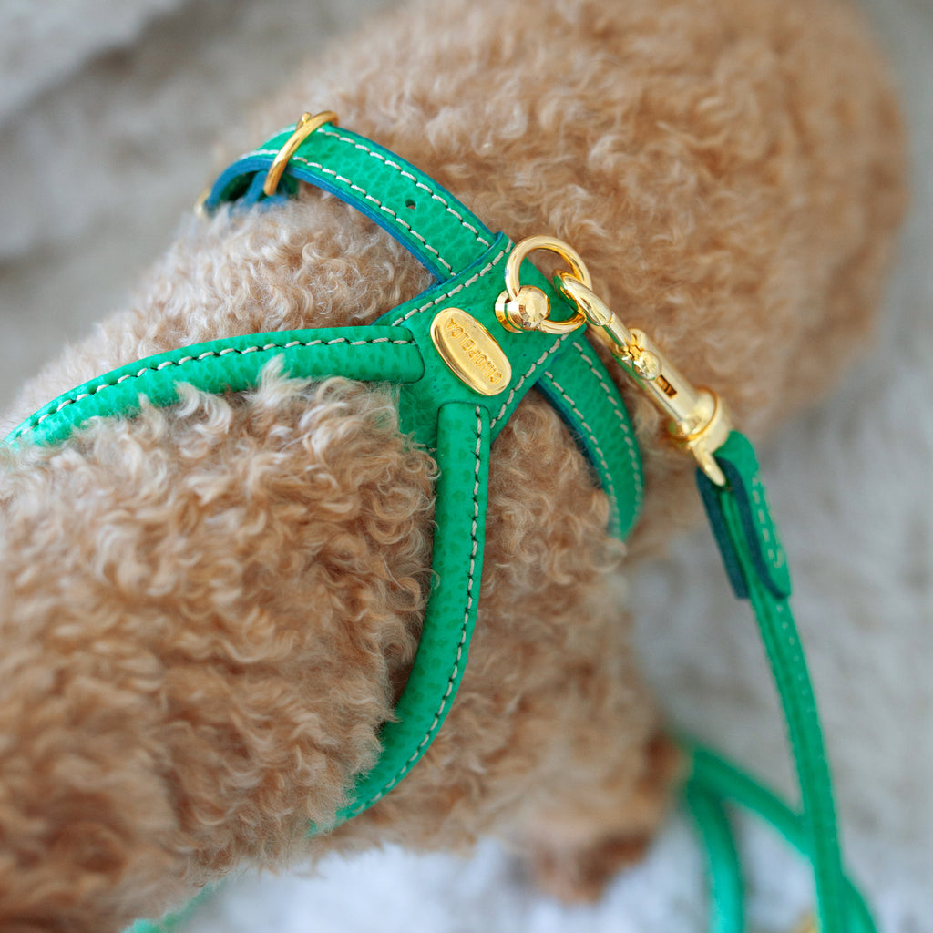 tubular calfskin leash - green