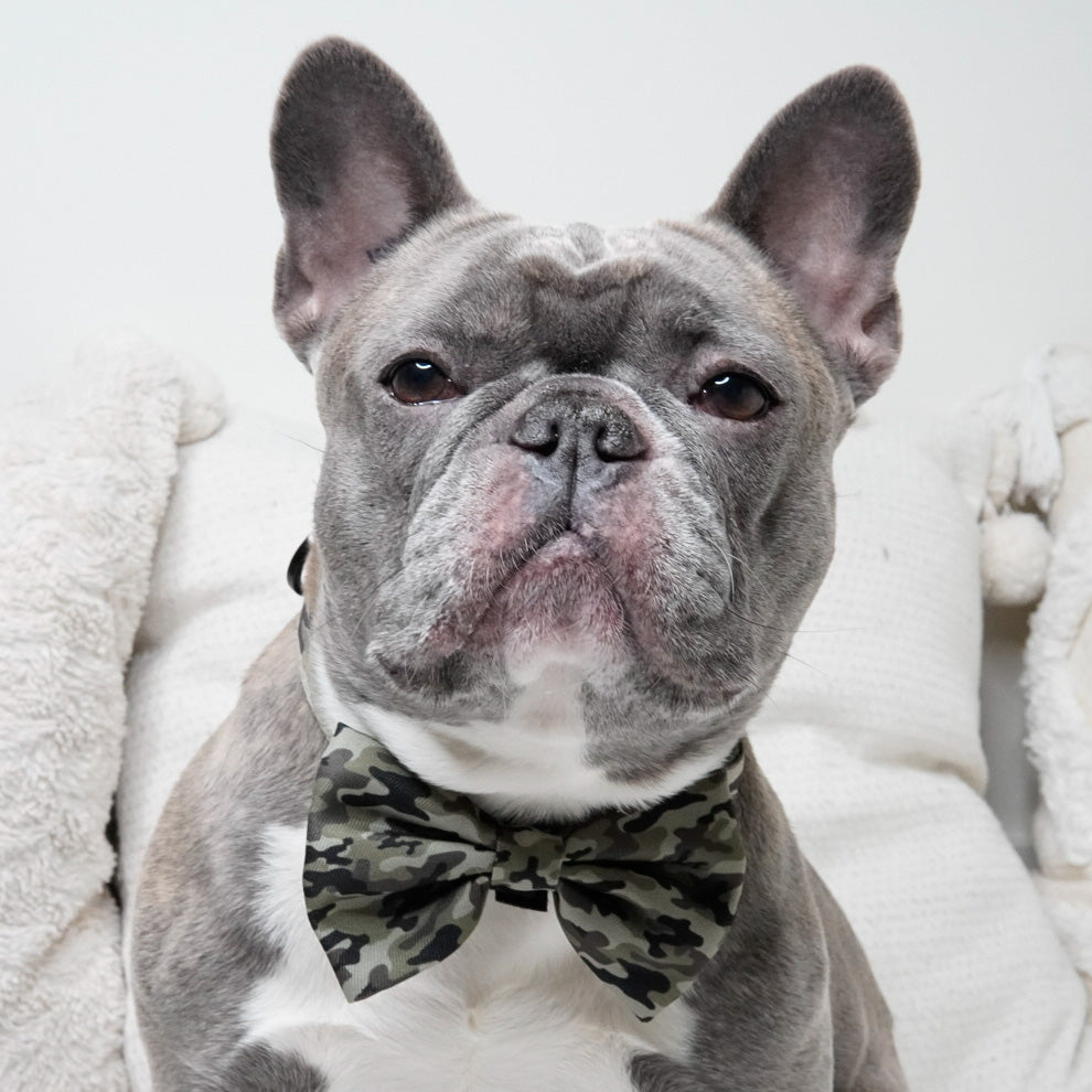 bow tie - green camo