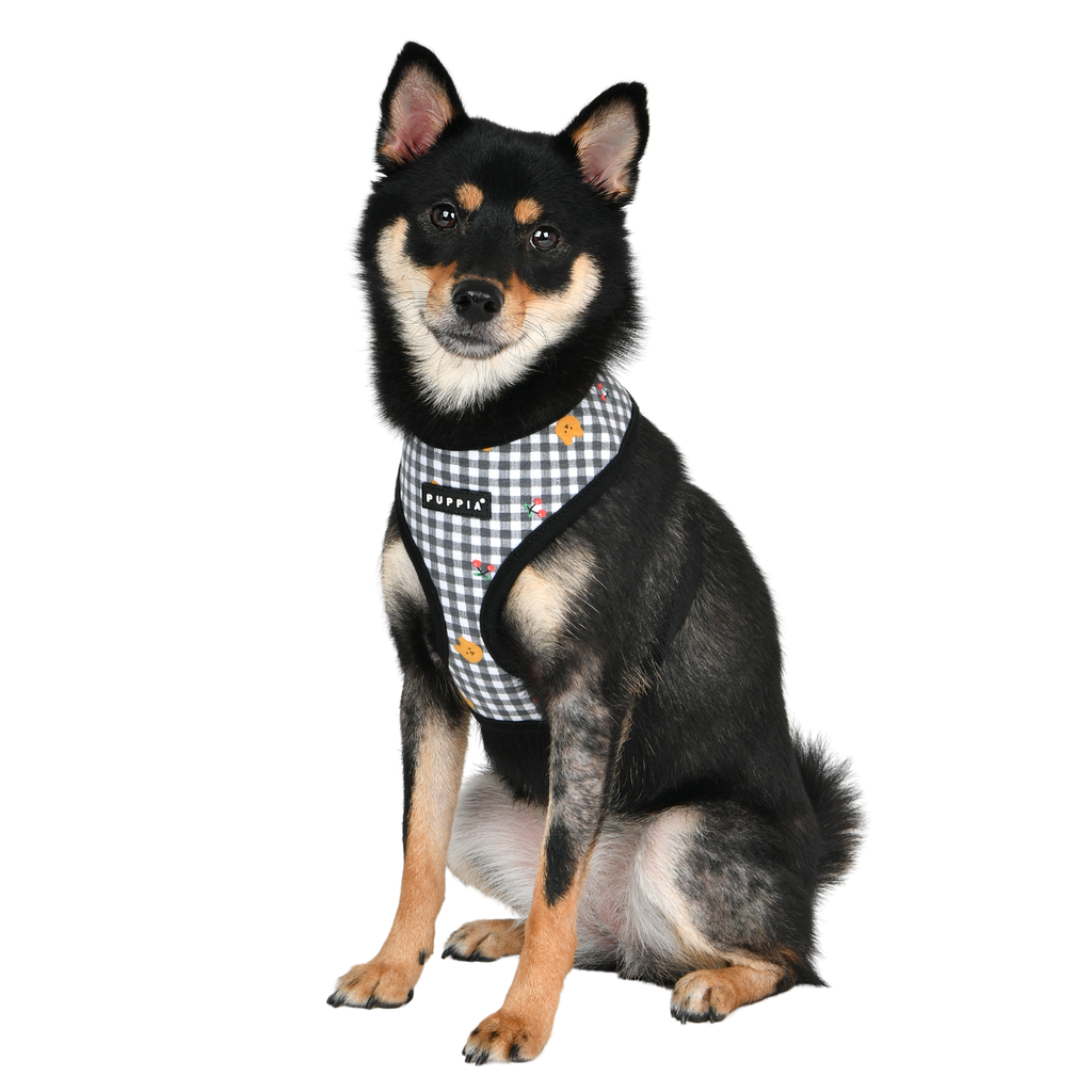 baba bear harness A - black