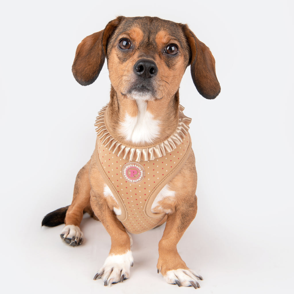 mila harness (A) - beige - 1 medium left!