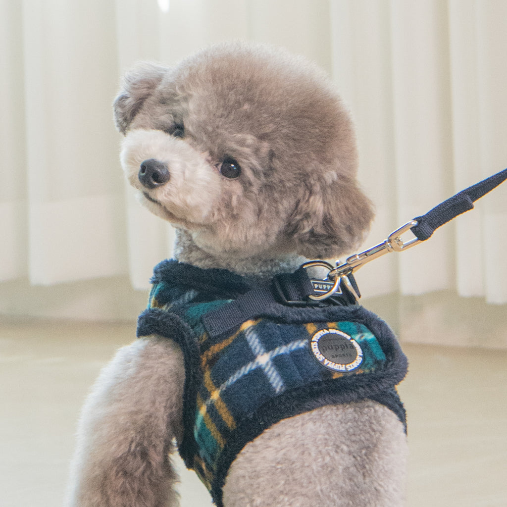 norman vest harness - navy - 1 small left!