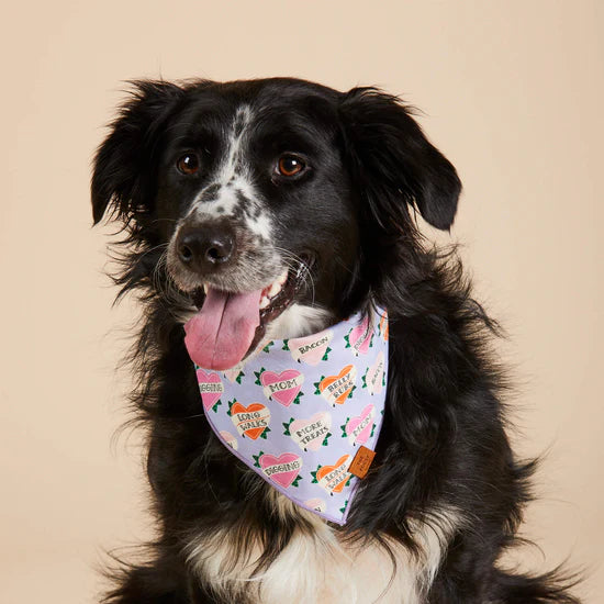 love language dog bandana