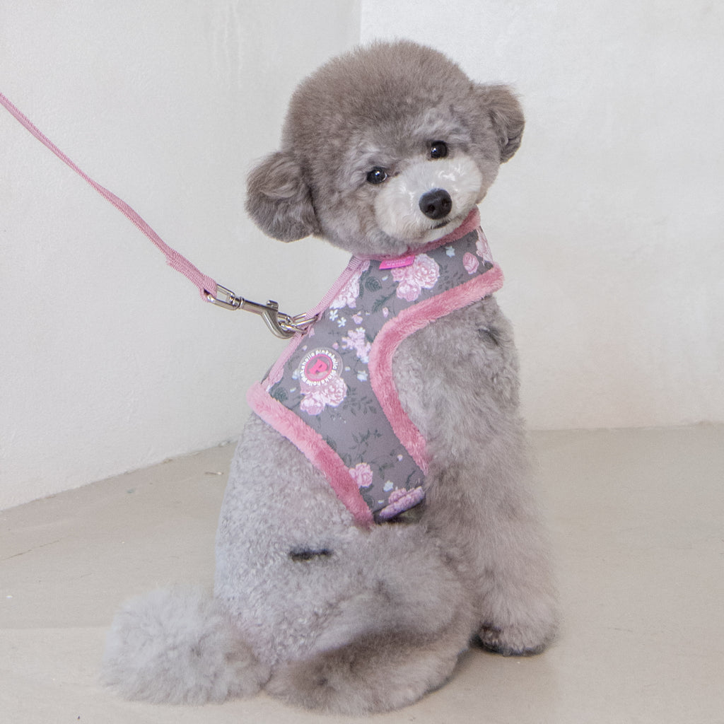 calla pinka harness - grey