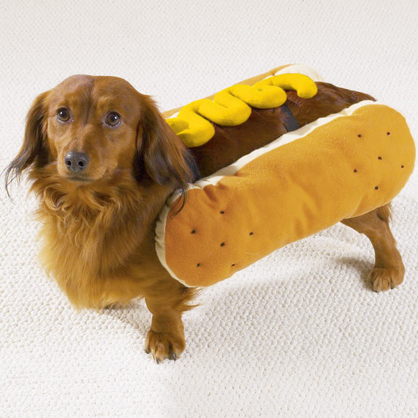 hot weiner dog with mustard costume - 1 small left!