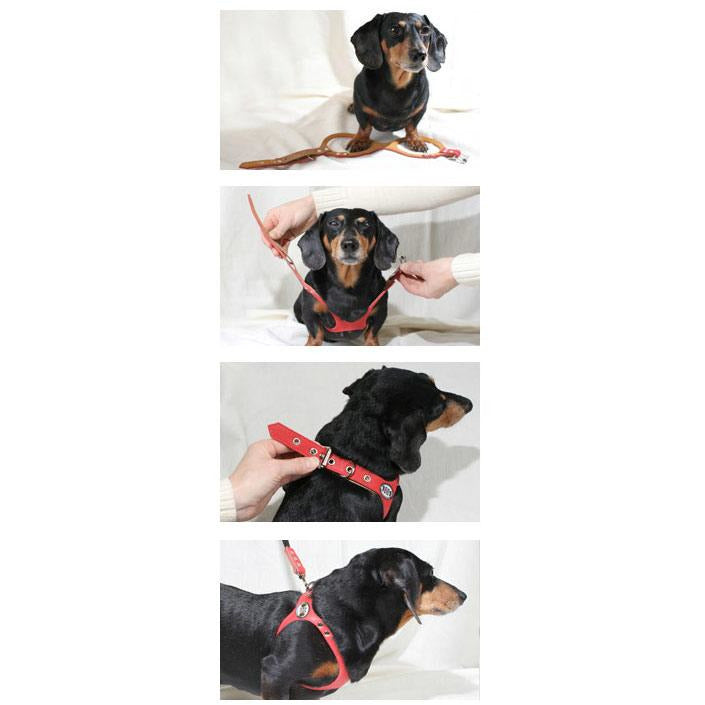 hot pink buddy belt harness barking babies