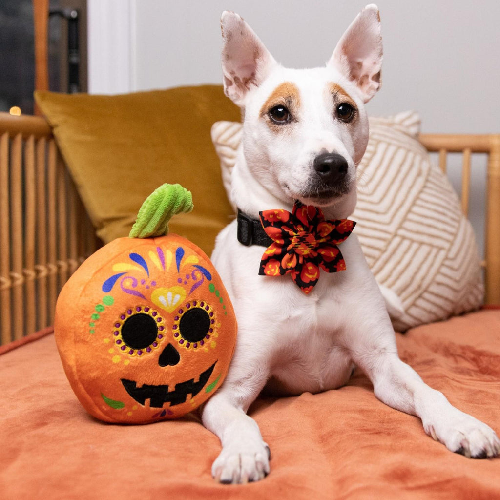 sugar skull pumpkin toy
