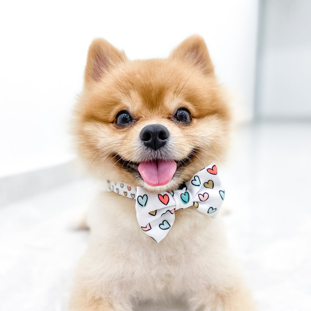 bow tie - feel the love