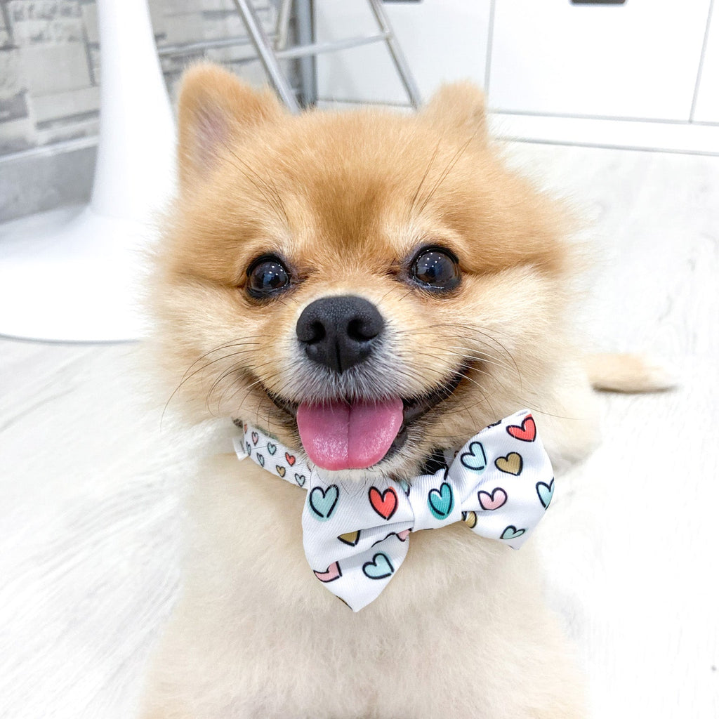 bow tie - feel the love