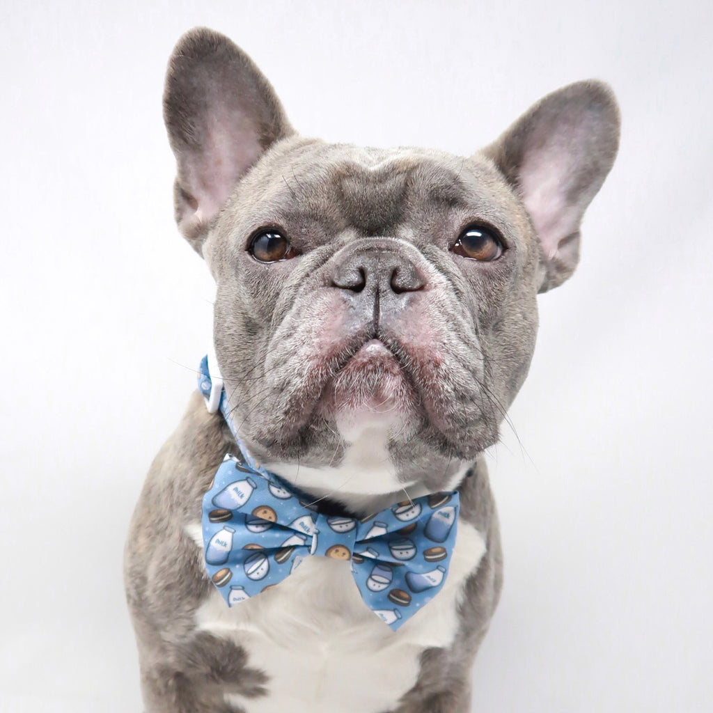bow tie - milky way