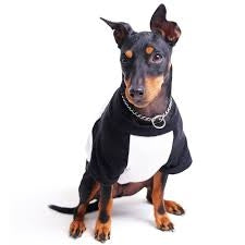 run dog raglan tee