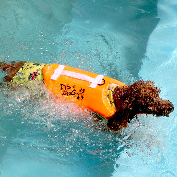 bestlife neon lifejacket - 1 large left!