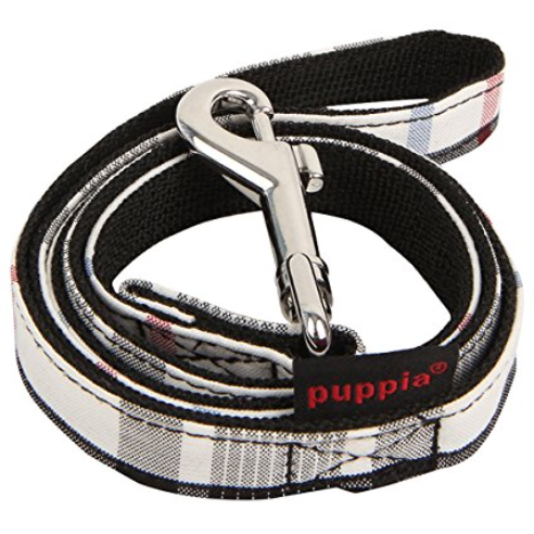 junior leash barking babies