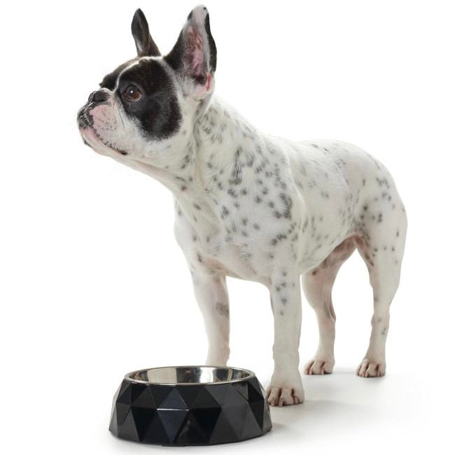 kimberly feeding bowl - black