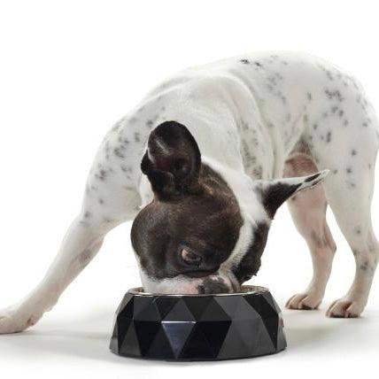 kimberly feeding bowl - black