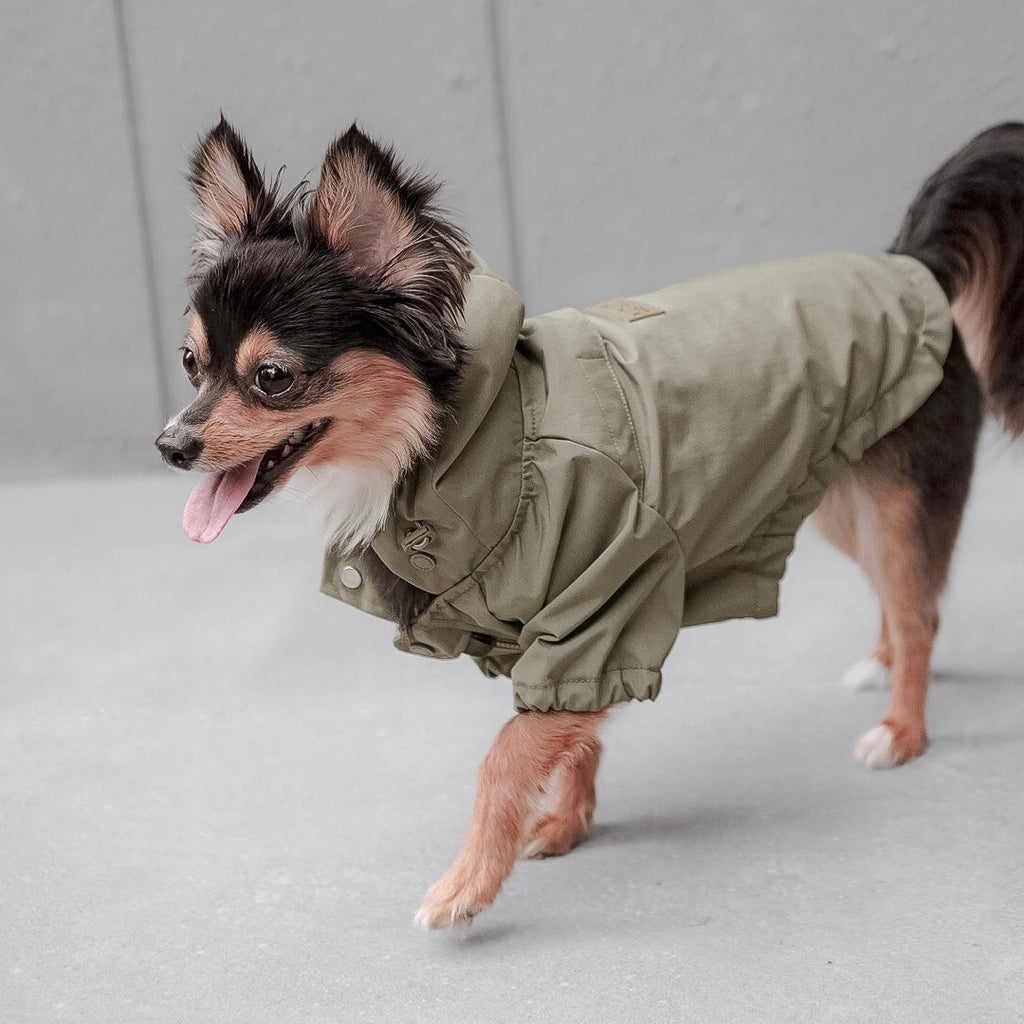 brooklyn rain jacket - fern