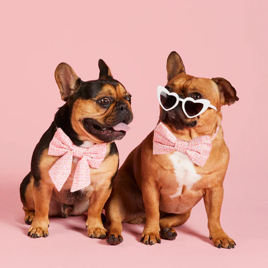 Dog bow bow hot sale