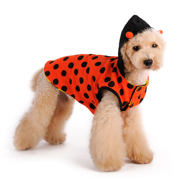 reversible bumble-bee/lady bug costume