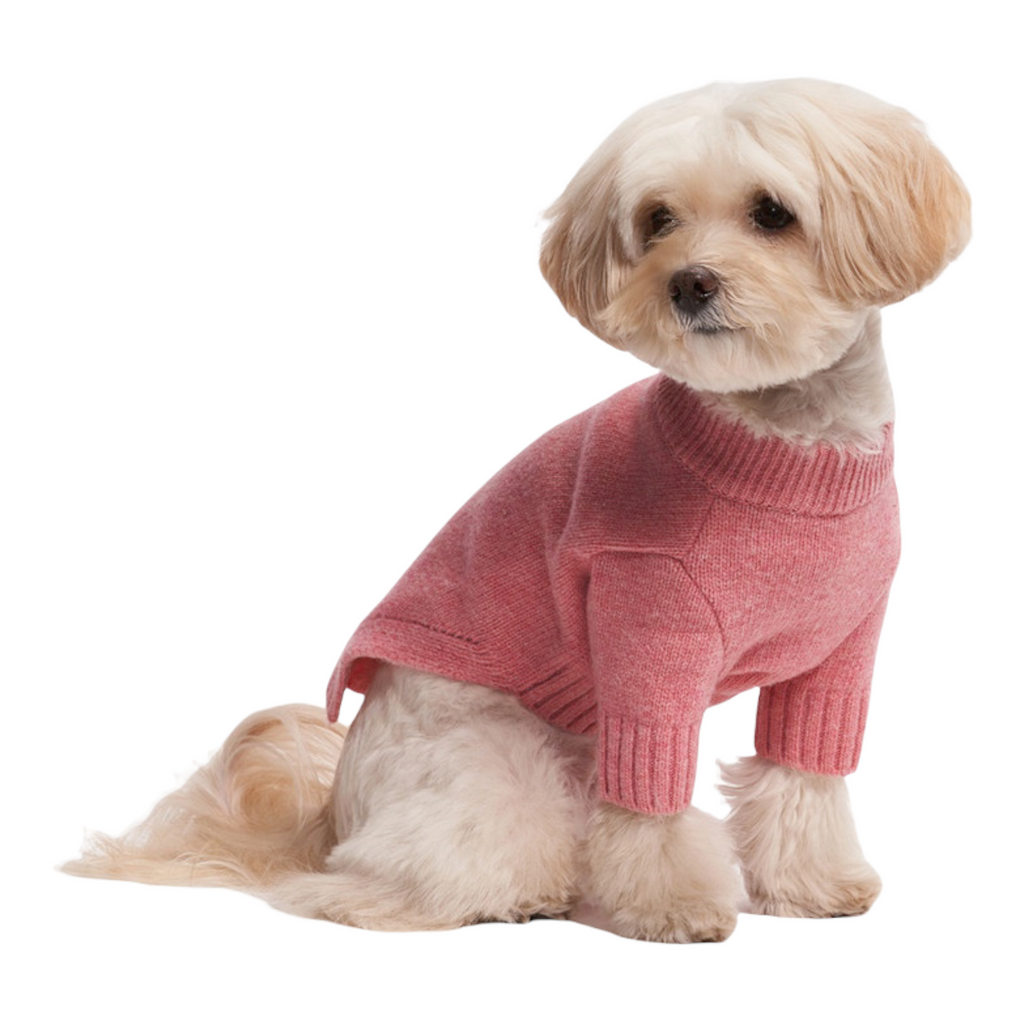 lambswool knit sweater - pink - availalbe in large(size 4)!