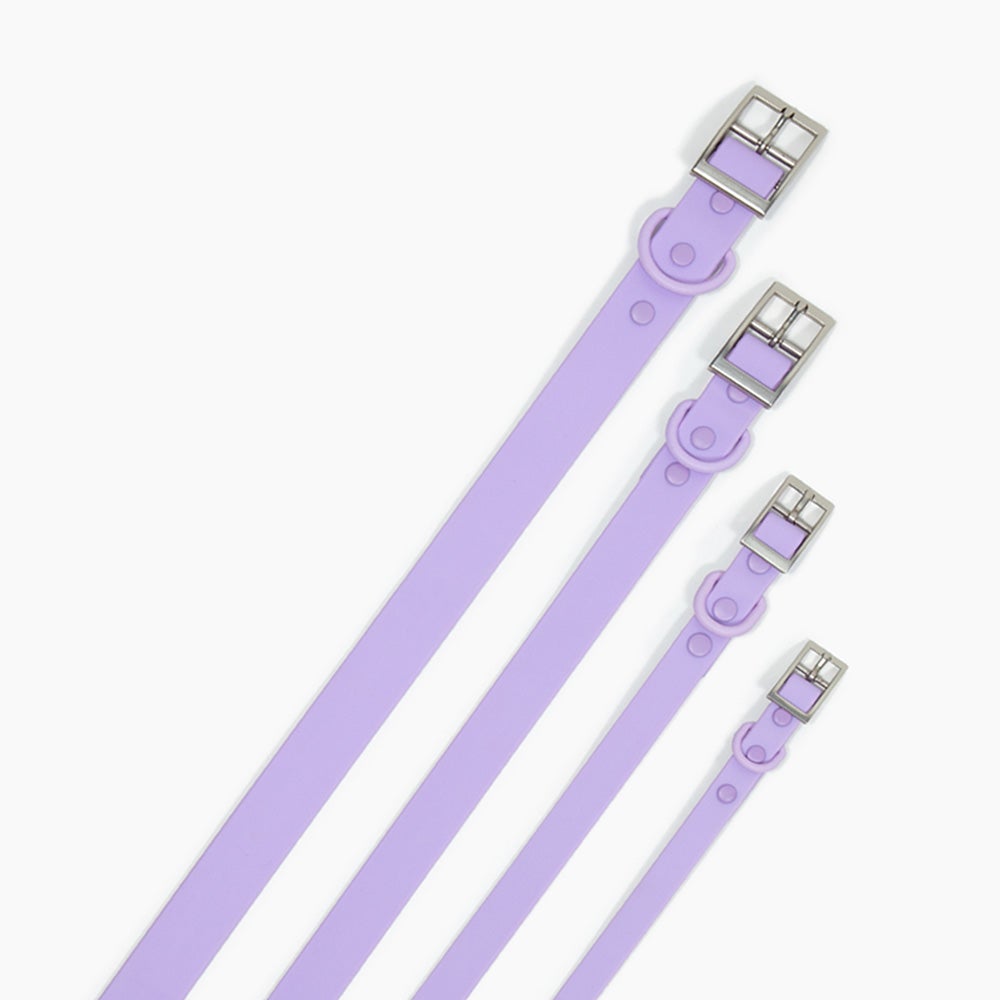 barking buddies waterproof collar - purple