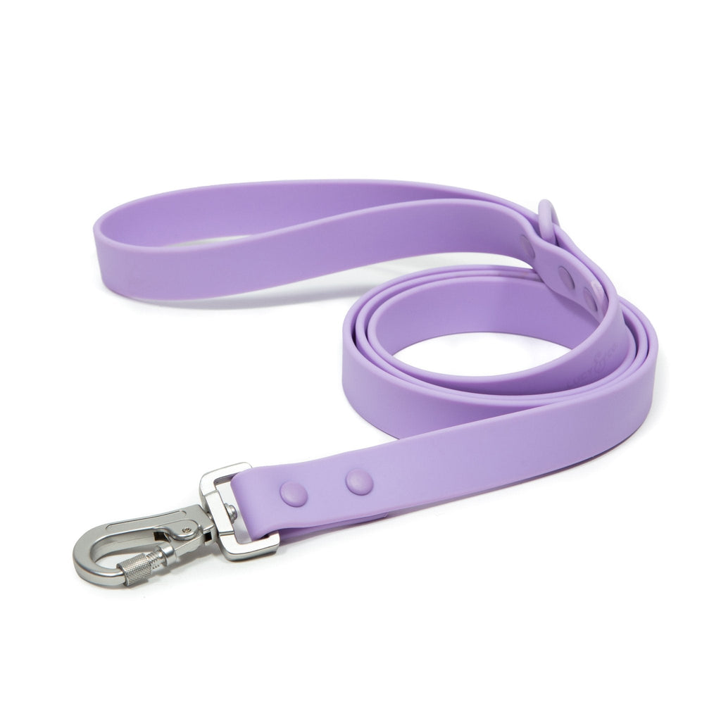 barking buddies waterproof leash - purple