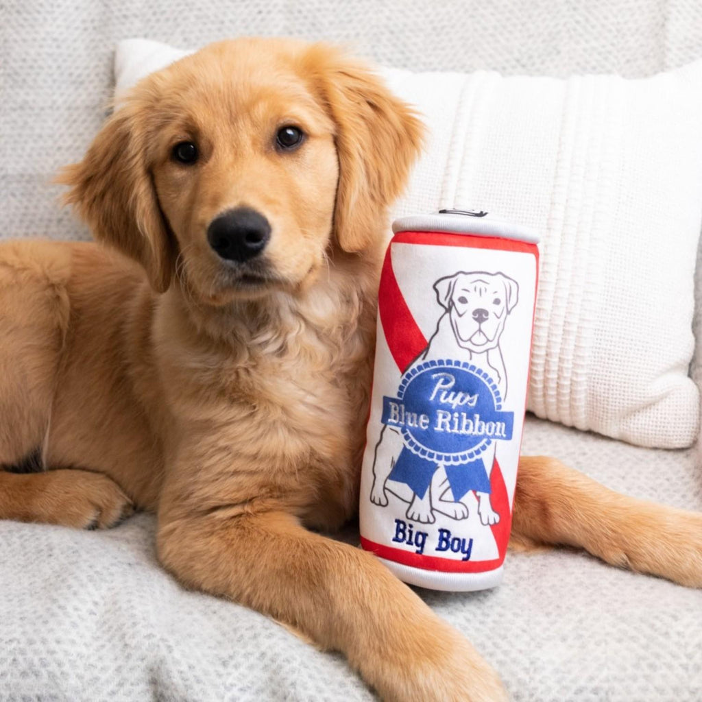 pups blue ribbon toy