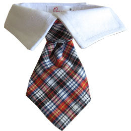 carter collared tie