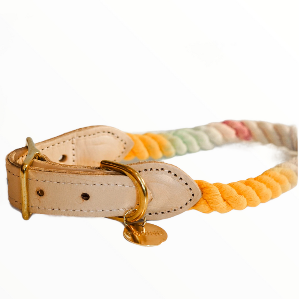 noelle ombre cotton rope collar