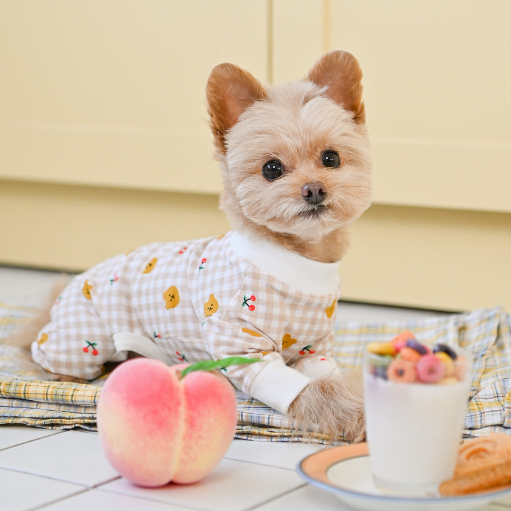 teddy gingham pjs