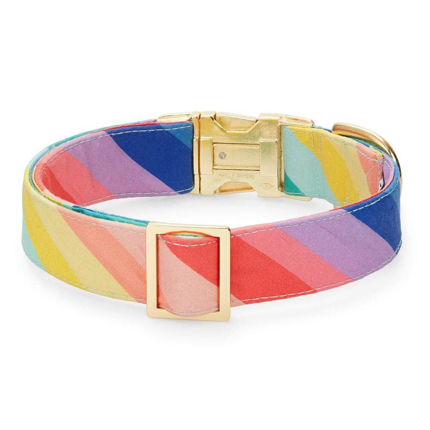 over the rainbow collar