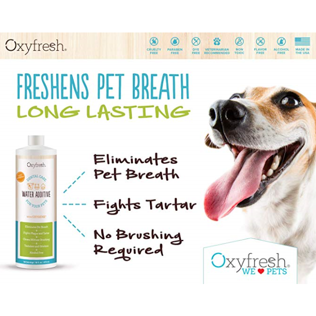 oxyfresh oral hygiene solution - 16 oz barking babies