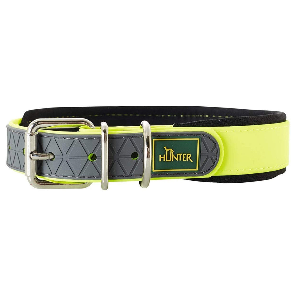 neon padded collar - yellow