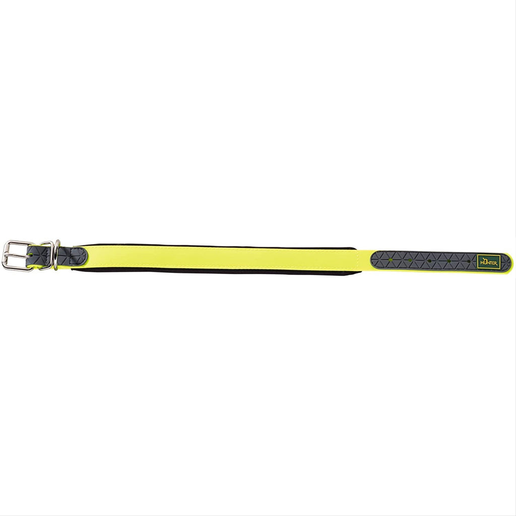 neon padded collar - yellow