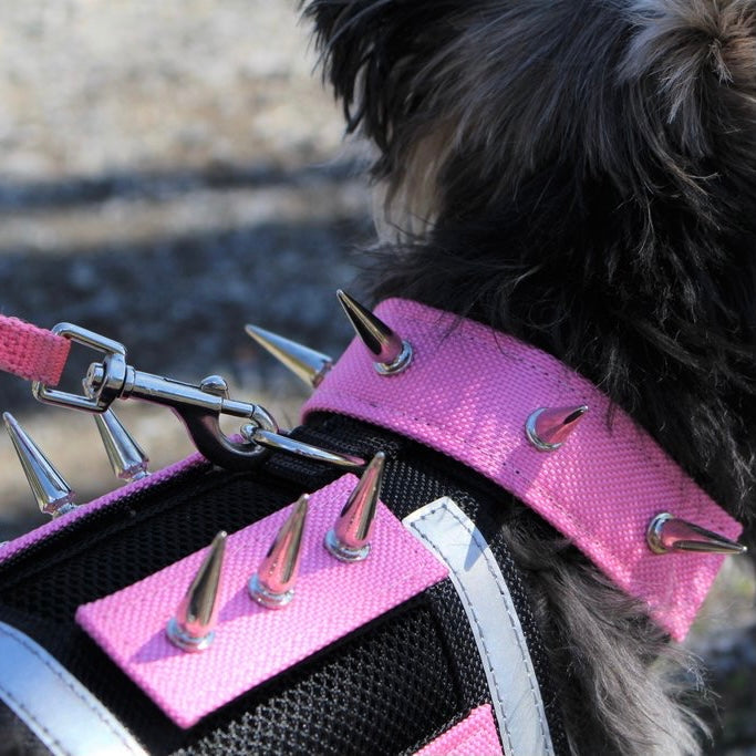 predator protection spiked harness