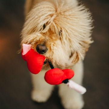 puppy love rope heart toy