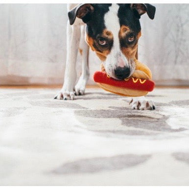 hot dog toy - 2 sizes