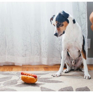 hot dog toy - 2 sizes